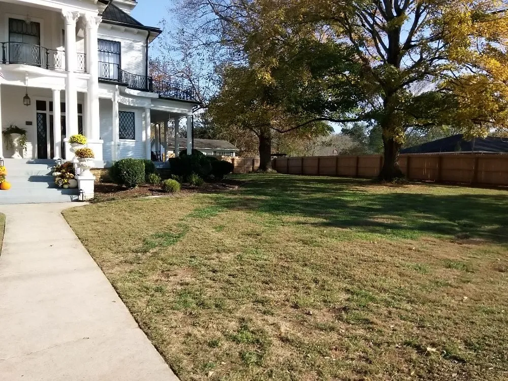 Local yard cleanup service experts serving Dayton, TN - Monkey Cuts Lawn Service