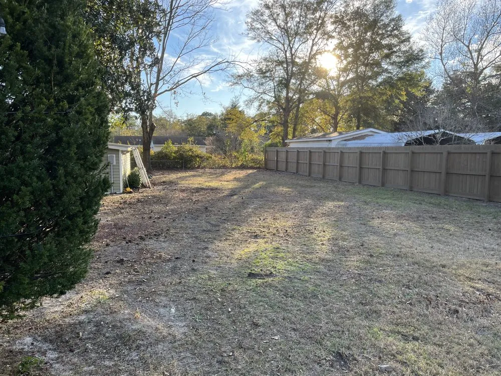 Affordable lawn care service experts serving Wilmington, NC - Monkey Grass Lawn care