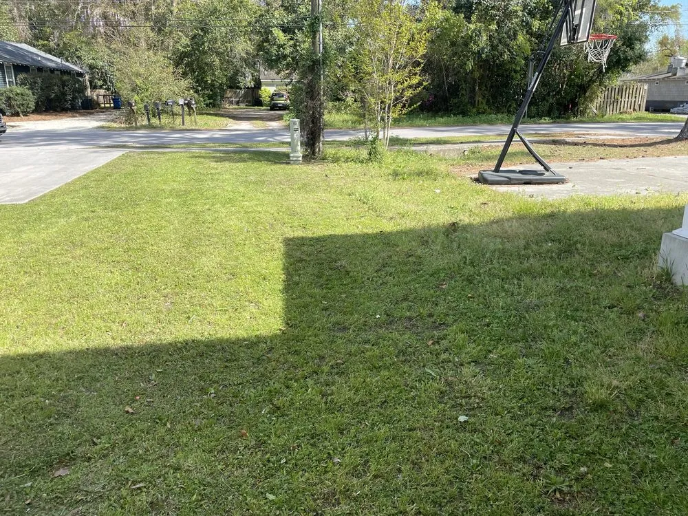 Trusted landscape design in Wilmington, NC by Monkey Grass Lawn care