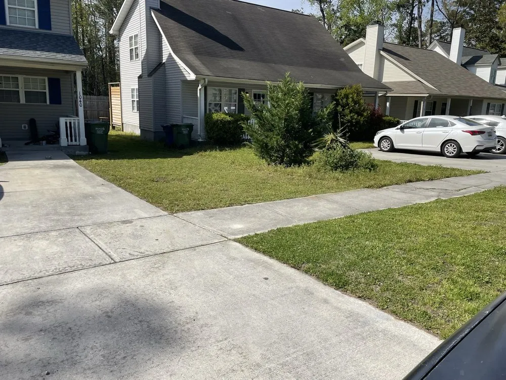 Expert landscaping services for beautiful yards in Wilmington, NC by Monkey Grass Lawn care