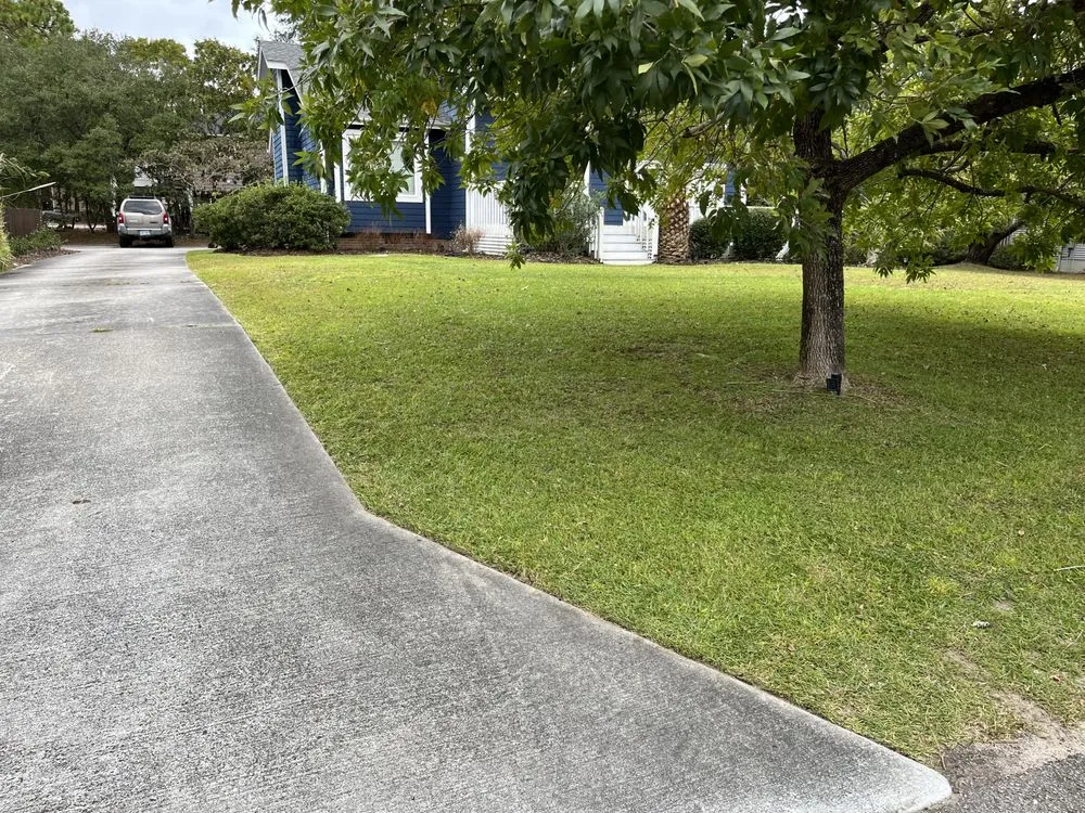 Custom lawn mowing service in Wilmington, NC - Monkey Grass Lawn care