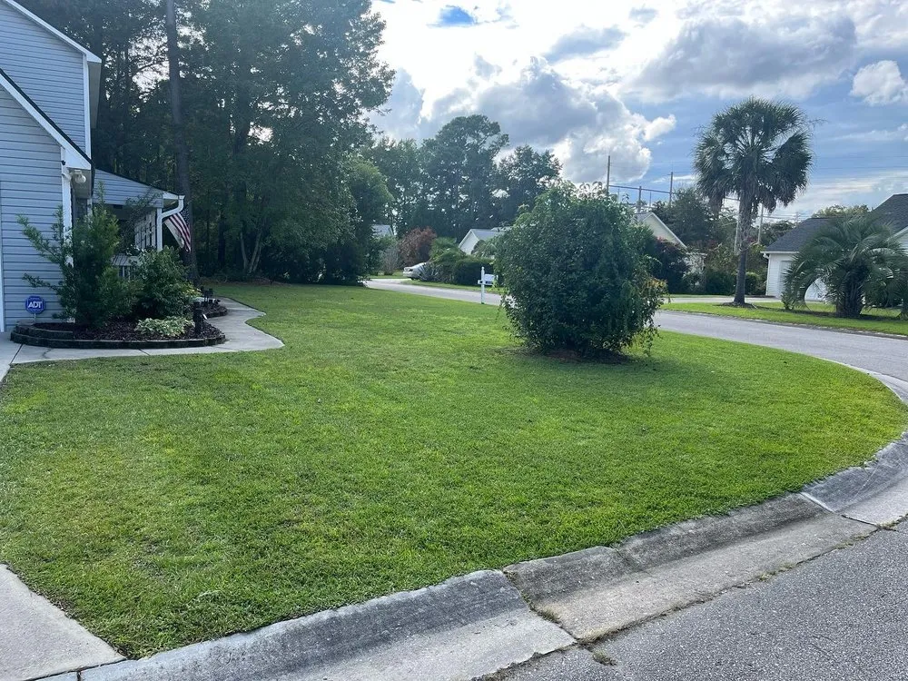 Top-rated lawn mowing service near you across Wilmington, NC - Monkey Grass Lawn care