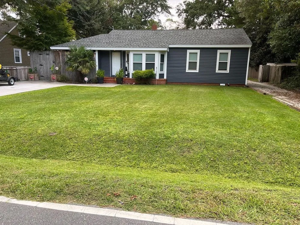 Custom lawn care service for outdoor upgrades across Wilmington, NC - Monkey Grass Lawn care