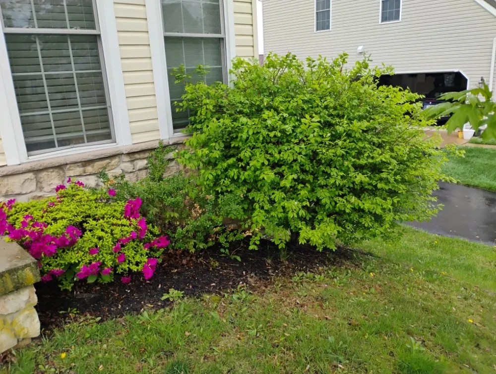 Professional residential landscaping for year-round maintenance across Aberdeen, MD - Monkey King Landscaping