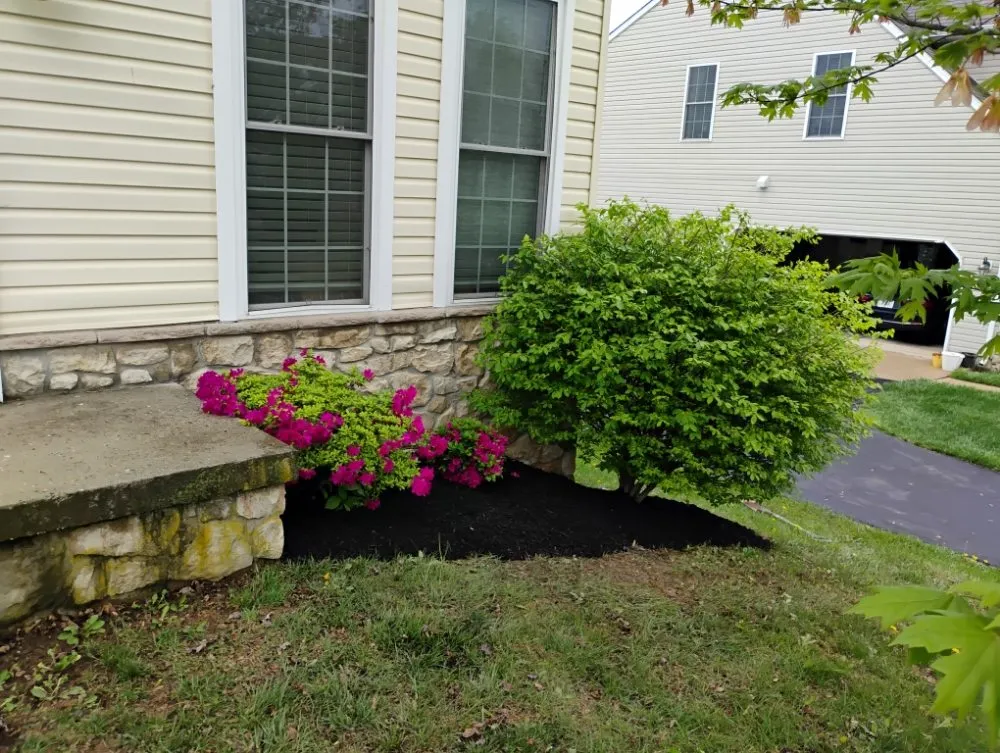 Top-rated yard cleanup service for beautiful yards in Aberdeen, MD by Monkey King Landscaping