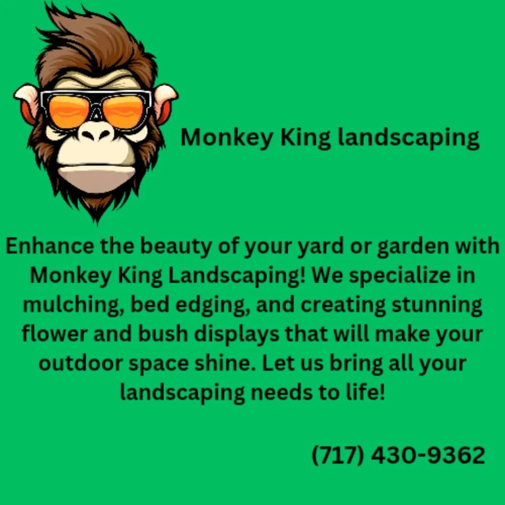 Expert landscape design in Aberdeen, MD by Monkey King Landscaping