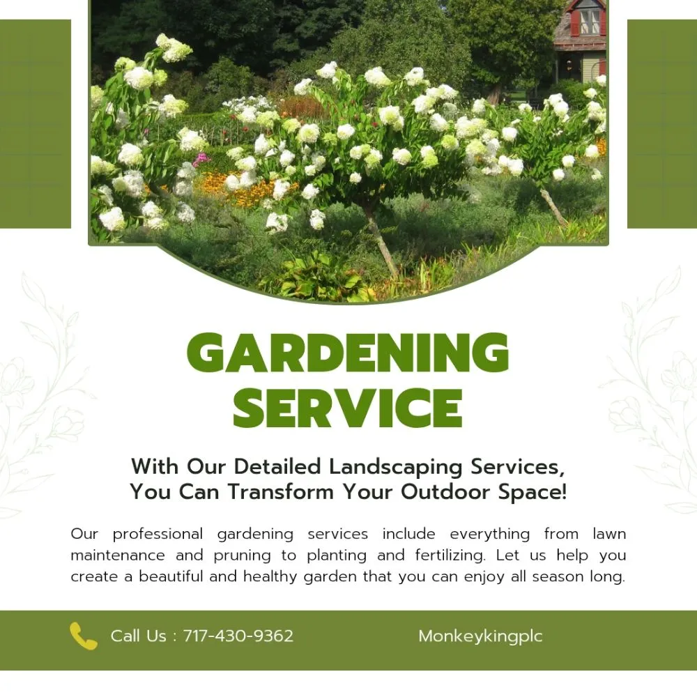 Trusted yard cleanup service experts serving Aberdeen, MD - Monkey King Landscaping