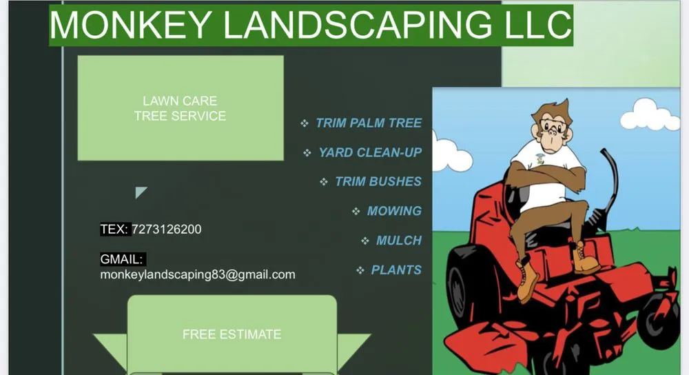 Local yard maintenance for homes across Tampa Bay, FL - Monkey landscaping