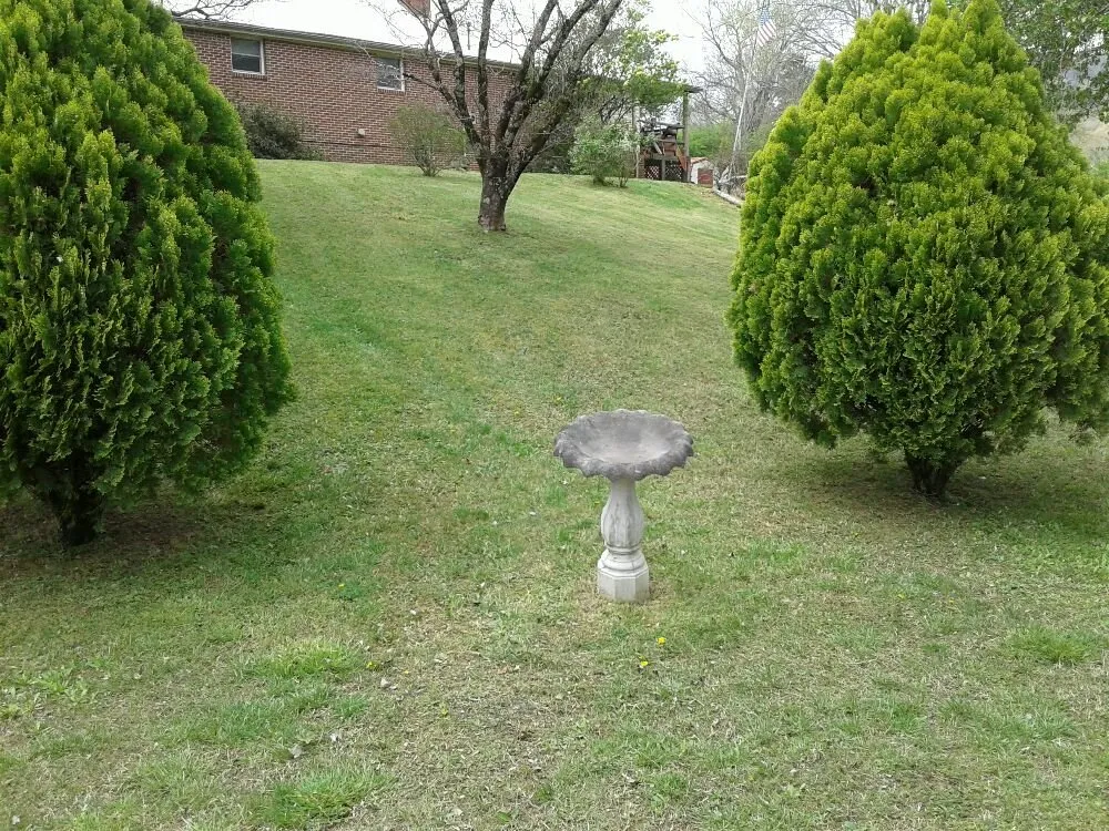 Reliable yard cleanup service for homes across Dayton, TN - Monkey Town Mowing