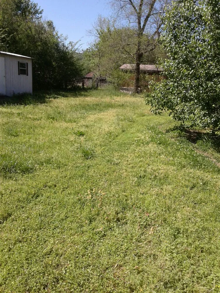 Reliable lawn mowing service in Dayton, TN - Monkey Town Mowing