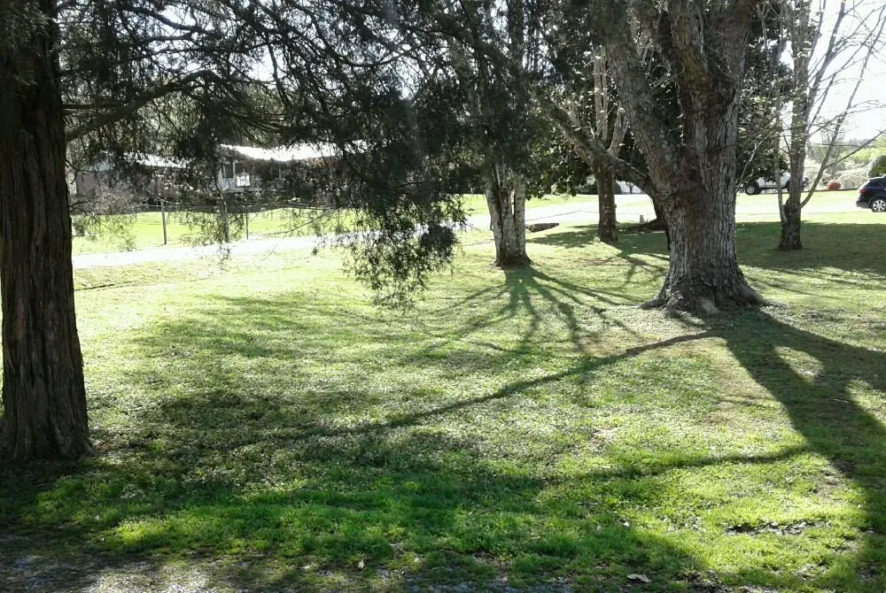 Trusted lawn mowing service experts serving Dayton, TN - Monkey Town Mowing