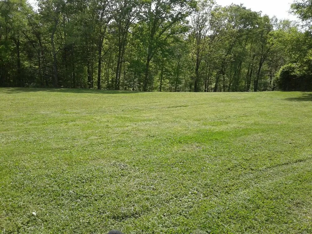 Trusted yard cleanup service in Dayton, TN by Monkey Town Mowing