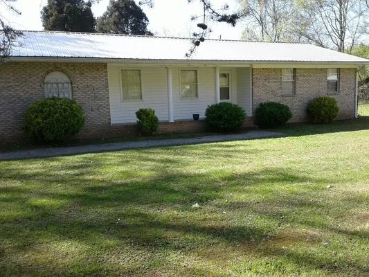 Monkey Town Mowing Logo