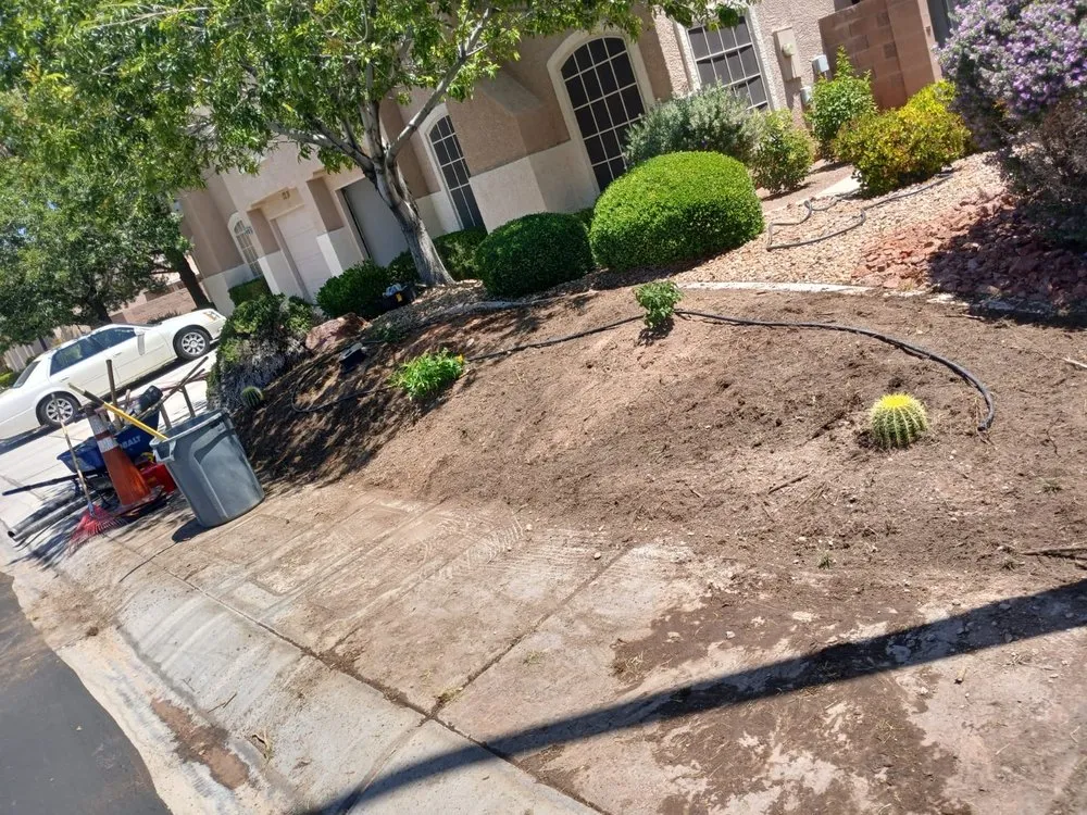 Reliable landscape installation in Las Vegas, NV - Monkey Tree & Lawn Service