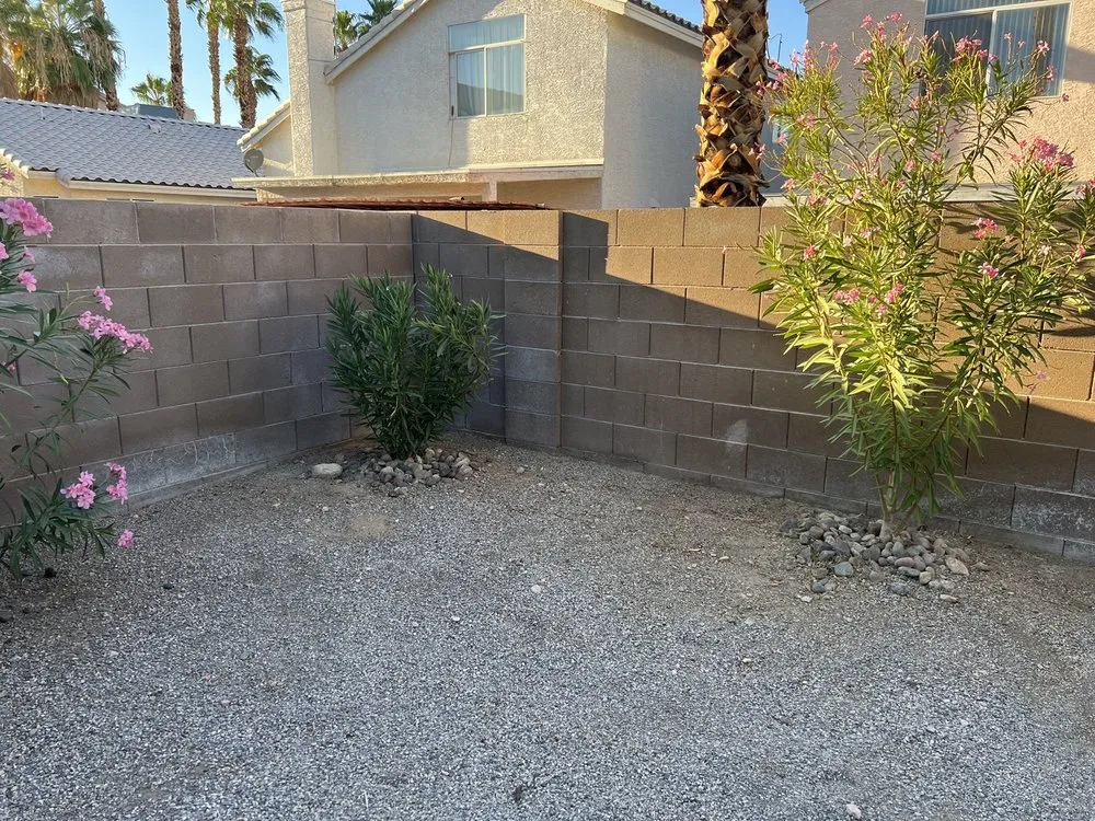 Professional landscaping services in Las Vegas, NV - Monkey Tree & Lawn Service