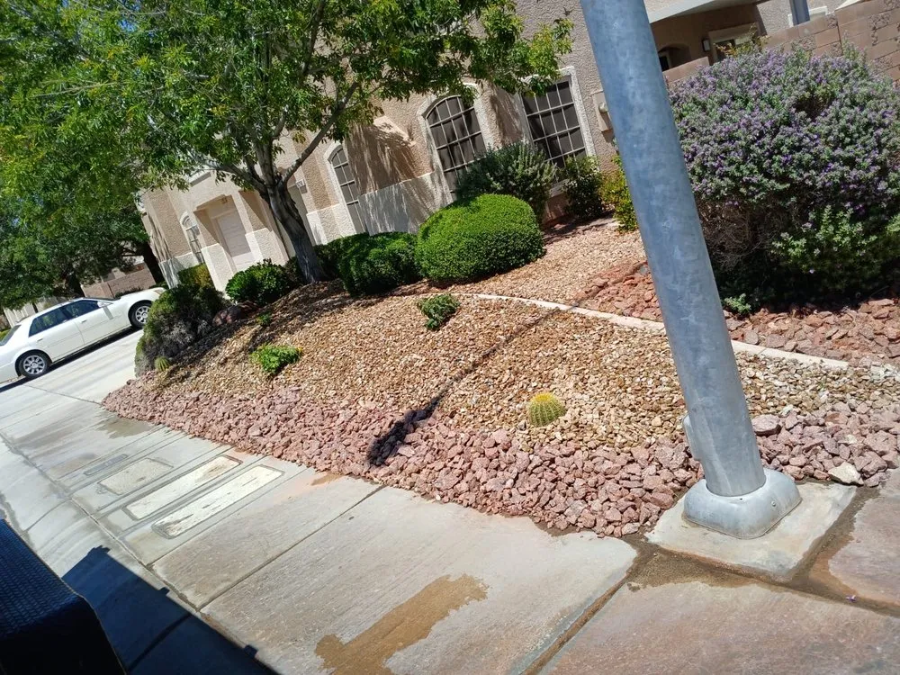 Expert lawn care service for beautiful yards in Las Vegas, NV by Monkey Tree & Lawn Service