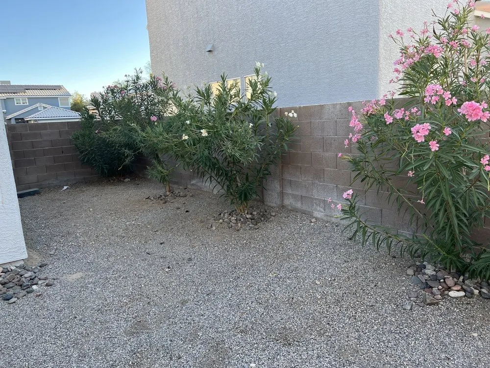 Custom landscape installation for homes in Las Vegas, NV by Monkey Tree & Lawn Service