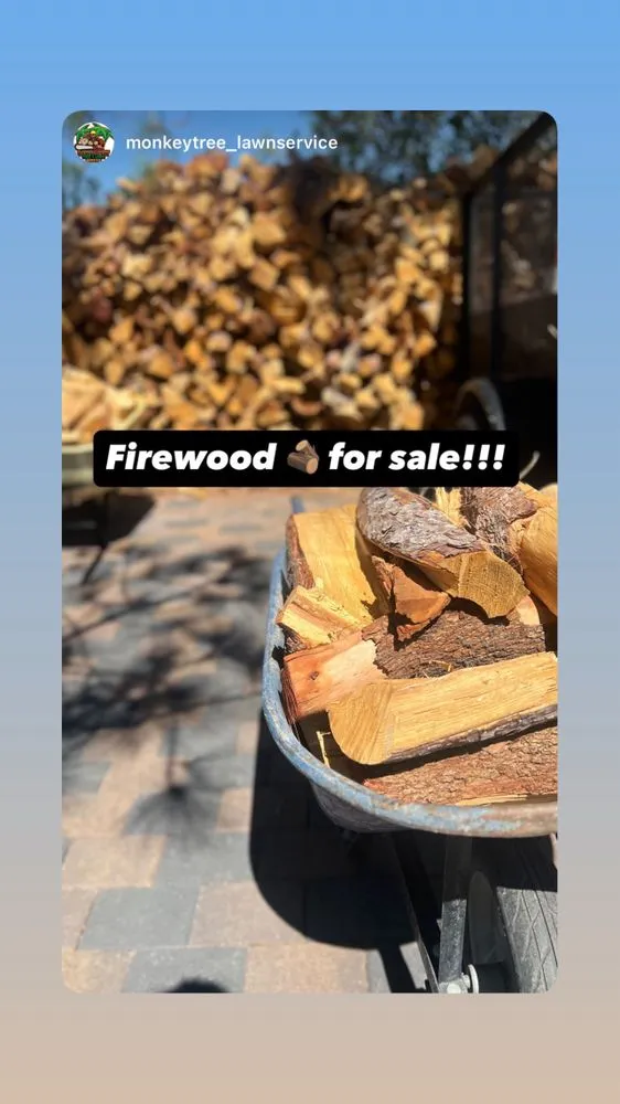 Affordable lawn care service in Las Vegas, NV by Monkey Tree & Lawn Service