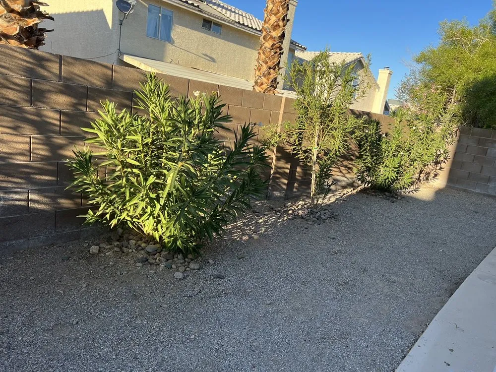 Top-rated lawn care service for outdoor upgrades in Las Vegas, NV by Monkey Tree & Lawn Service