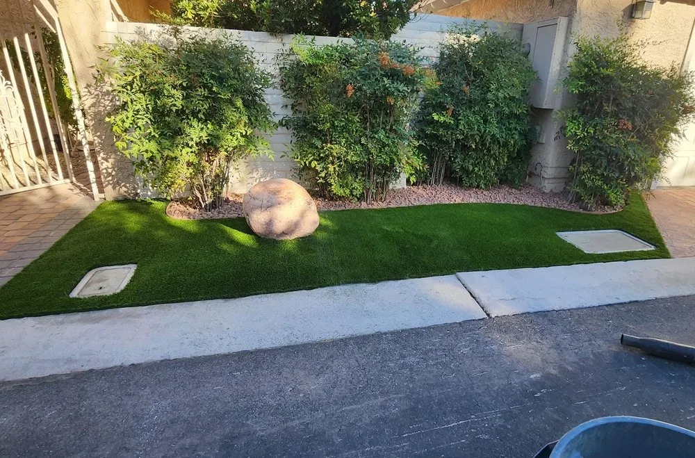 Reliable yard cleanup service experts serving Las Vegas, NV - Monkey Tree & Lawn Service