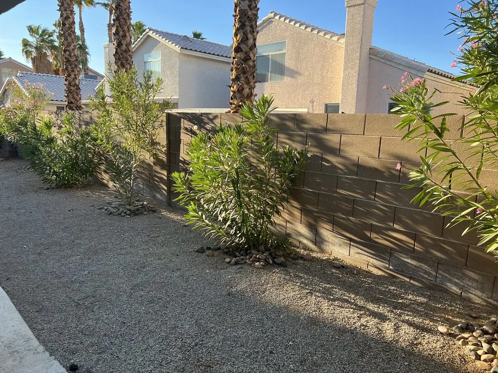 Local lawn care service experts serving Las Vegas, NV - Monkey Tree & Lawn Service