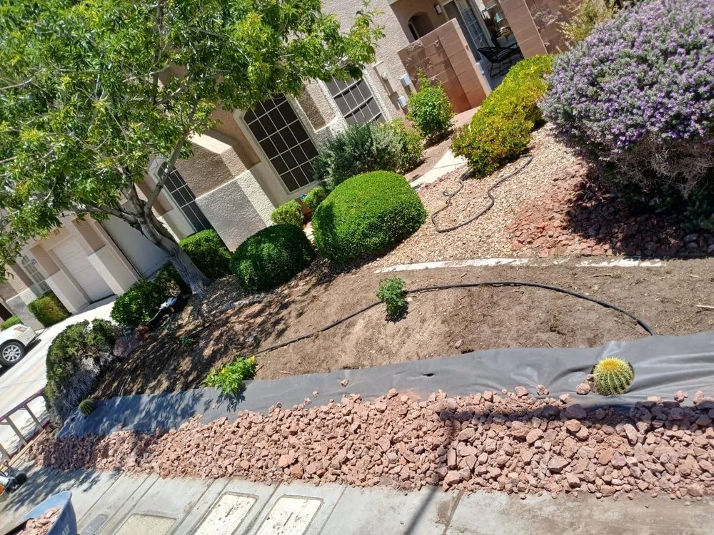 Professional lawn mowing service experts serving Las Vegas, NV - Monkey Tree & Lawn Service