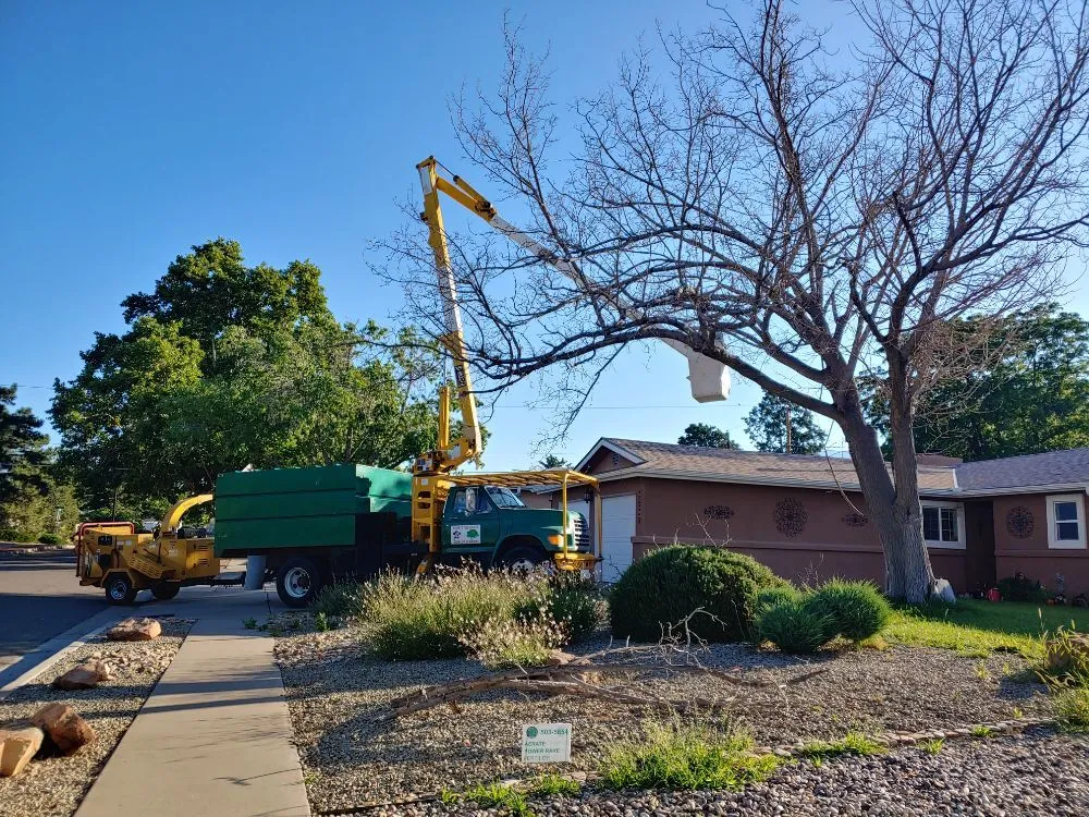 Expert lawn care service experts serving Albuquerque, NM - Monkey's Tree Services