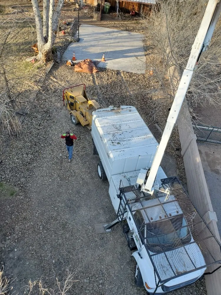 Local lawn care service experts serving Albuquerque, NM - Monkey's Tree Services