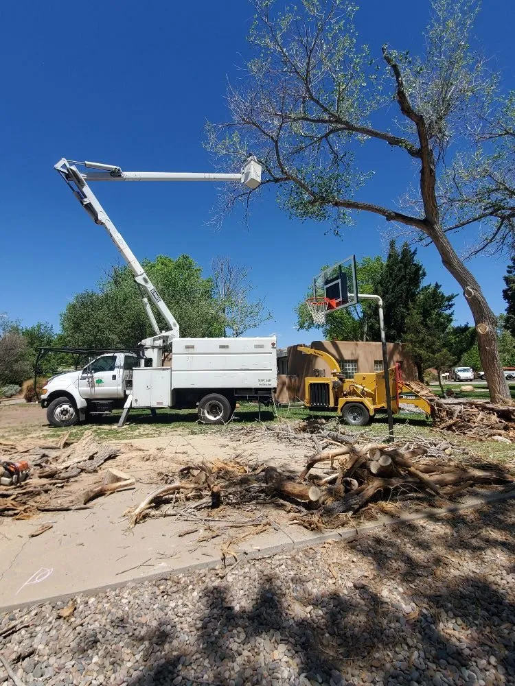Professional garden landscaping in Albuquerque, NM - Monkey's Tree Services