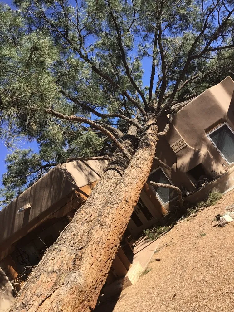 Custom garden landscaping for year-round maintenance across Albuquerque, NM - Monkey's Tree Services