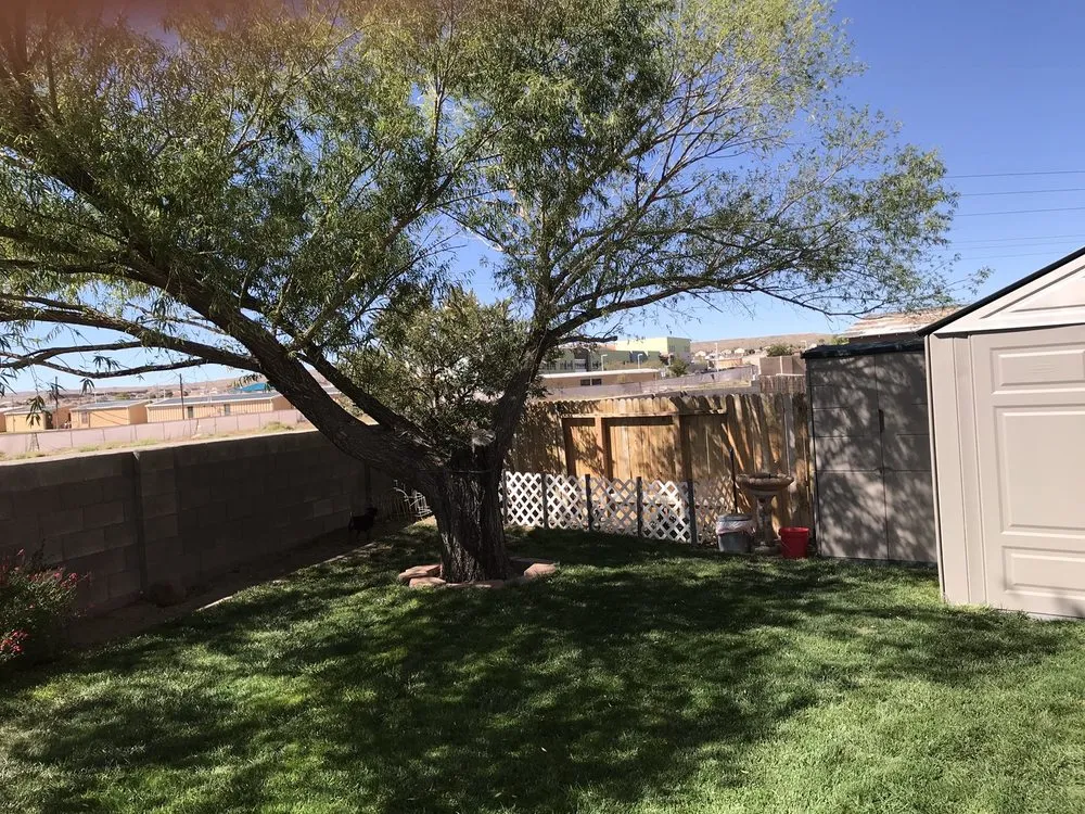Custom garden landscaping experts serving Albuquerque, NM - Monkey's Tree Services