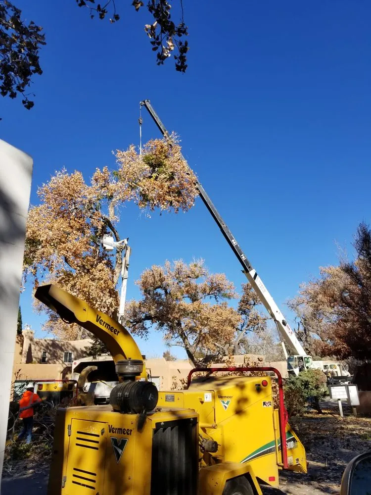 Local landscape installation for homes in Albuquerque, NM by Monkey's Tree Services
