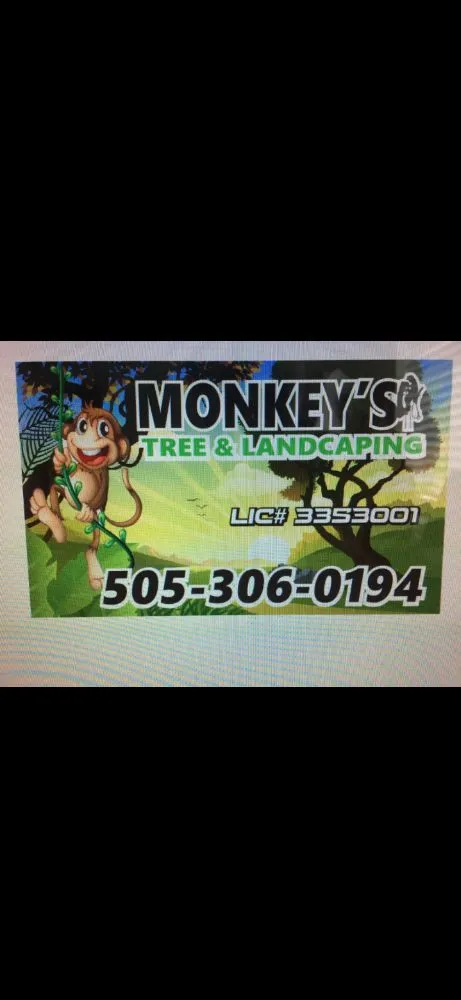Expert lawn care service experts serving Albuquerque, NM - Monkey's Tree Services