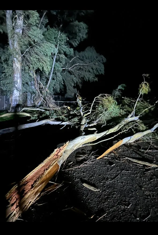 Top-rated lawn care service for outdoor upgrades across Lincoln, CA - Monks Land Management