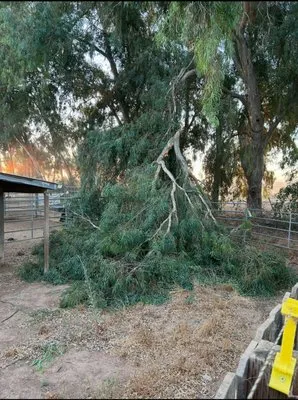 Monks Land Management