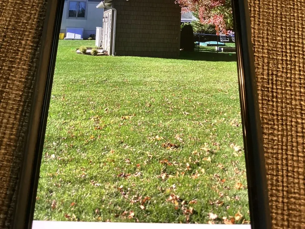 Affordable residential landscaping experts serving Hazlet, NJ - Monmouth Sod