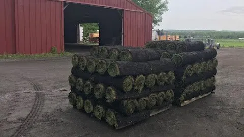 Affordable outdoor landscaping with custom design across Hazlet, NJ - Monmouth Sod