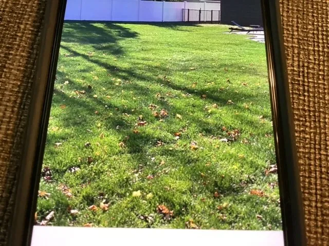 Expert outdoor landscaping experts serving Hazlet, NJ - Monmouth Sod