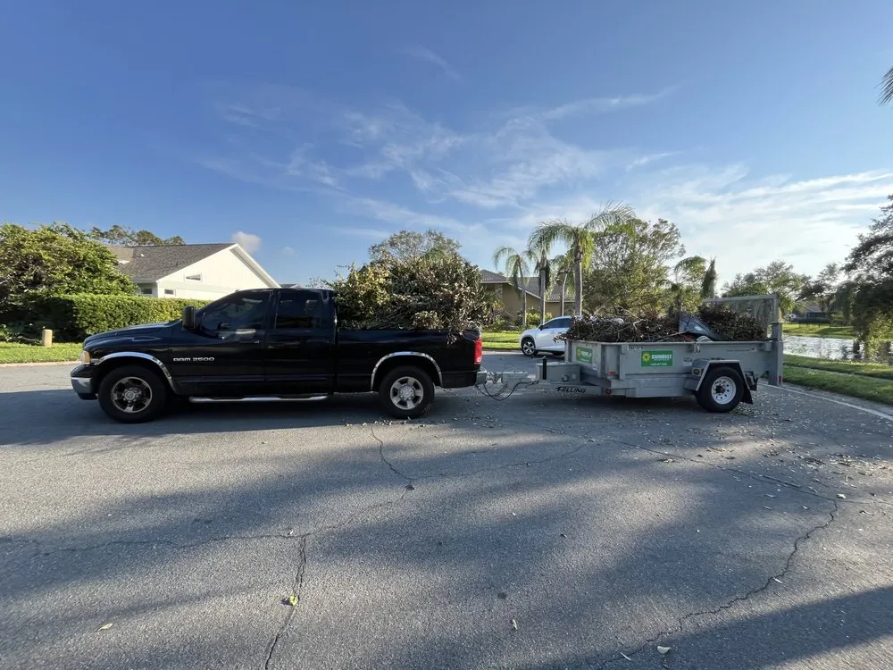 Affordable landscape installation experts serving Pinellas Park, FL - Monnell Services