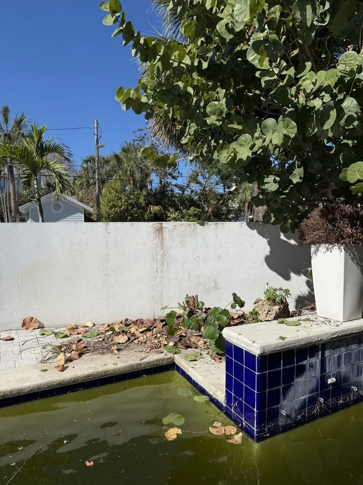 Trusted lawn mowing service experts serving Pinellas Park, FL - Monnell Services