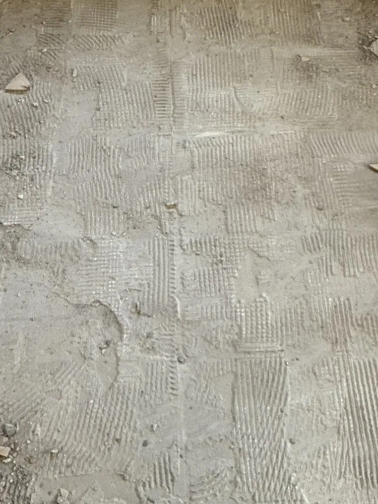 Local lawn mowing service experts serving Pinellas Park, FL - Monnell Services