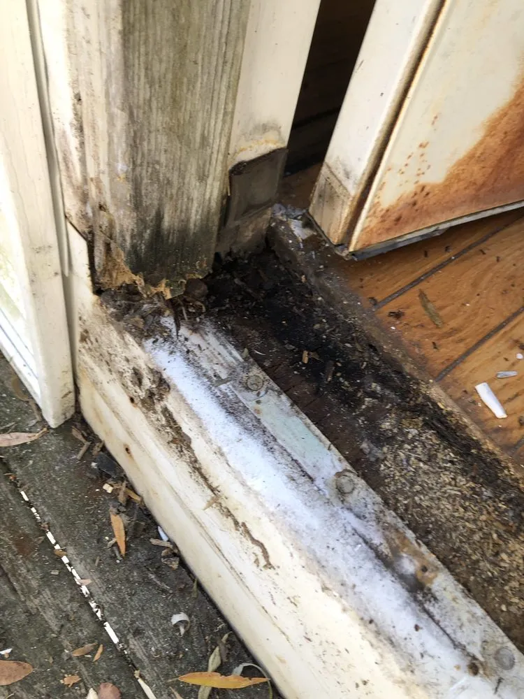 Expert landscaping services near you in South Portland, ME by Monroe Built Handyman Services