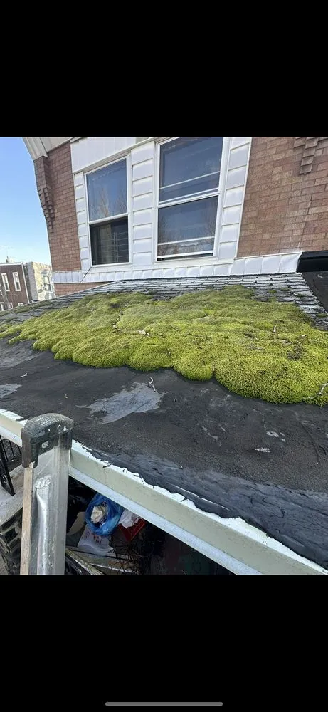 Professional lawn mowing service for beautiful yards across Philadelphia, PA - MONROE INTERIOR AND EXTERIOR DESIGN