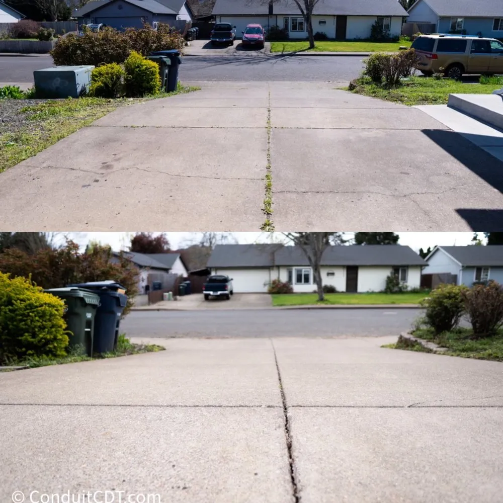 Expert yard maintenance in Springfield, OR - Monroe Landscape & Maintenance