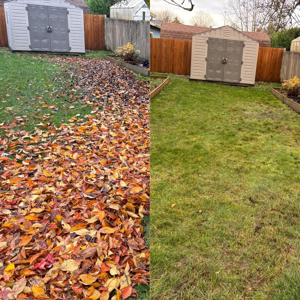 Affordable landscape installation near you in Springfield, OR by Monroe Landscape & Maintenance