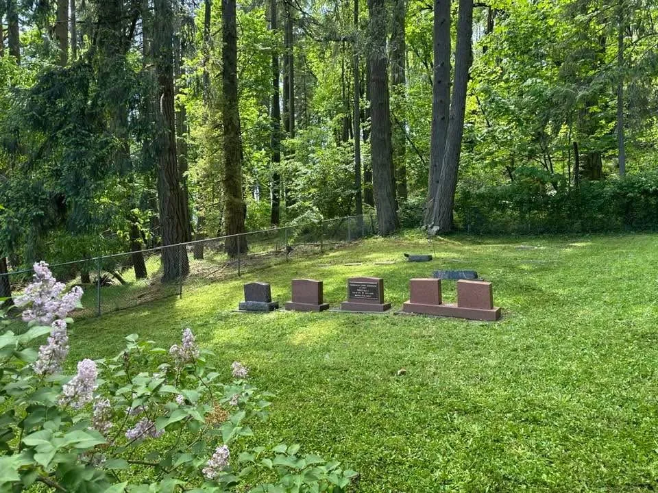 Custom outdoor landscaping near you in Springfield, OR by Monroe Landscape & Maintenance