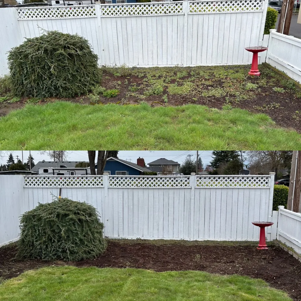 Expert residential landscaping experts serving Springfield, OR - Monroe Landscape & Maintenance