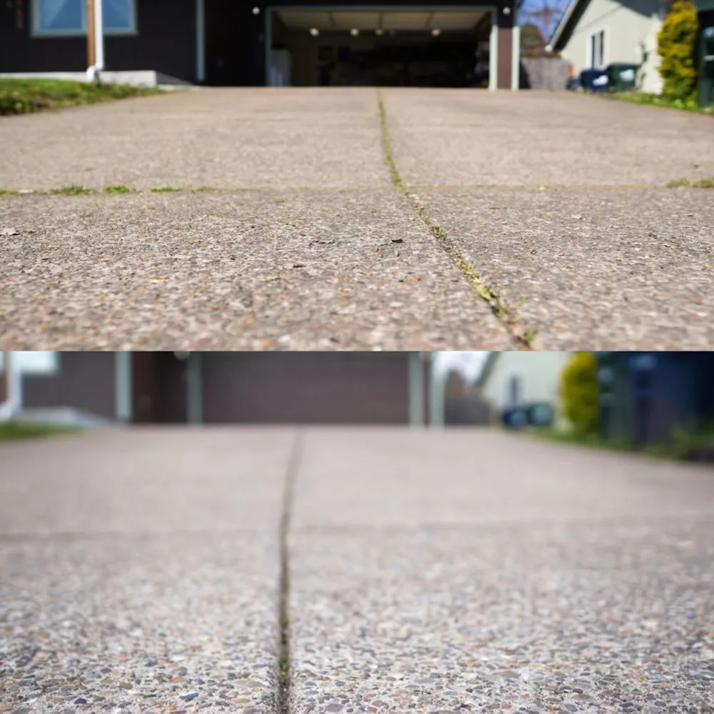 Expert landscape installation for year-round maintenance across Springfield, OR - Monroe Landscape & Maintenance