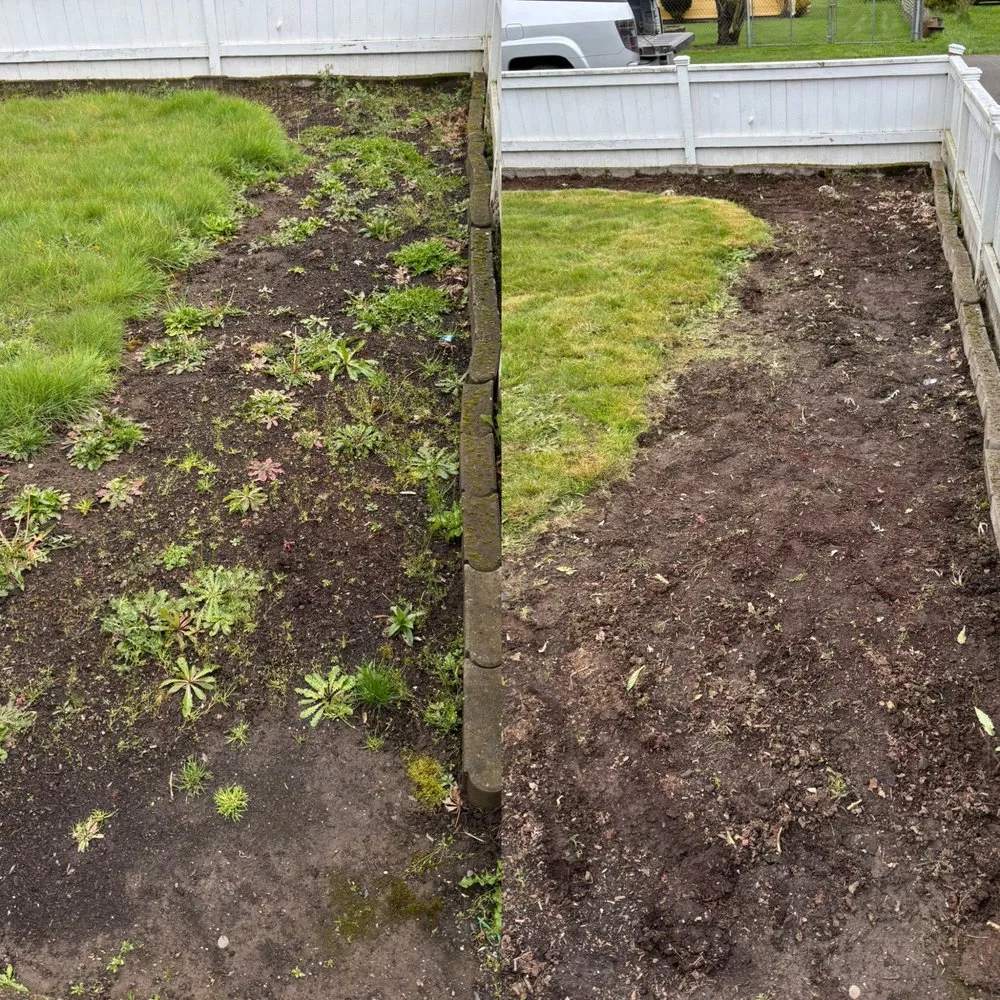 Custom landscape design for year-round maintenance in Springfield, OR by Monroe Landscape & Maintenance