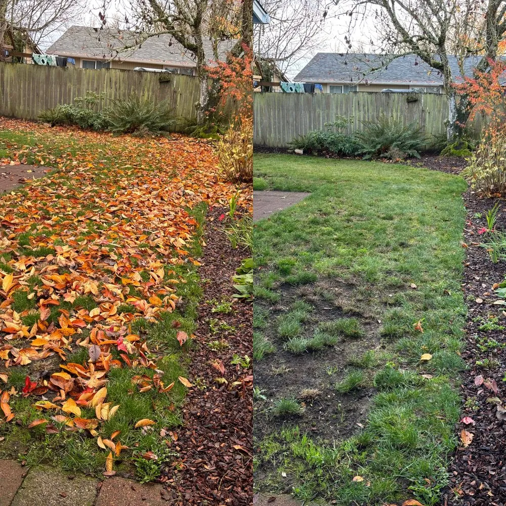 Custom yard cleanup service for beautiful yards across Springfield, OR - Monroe Landscape & Maintenance
